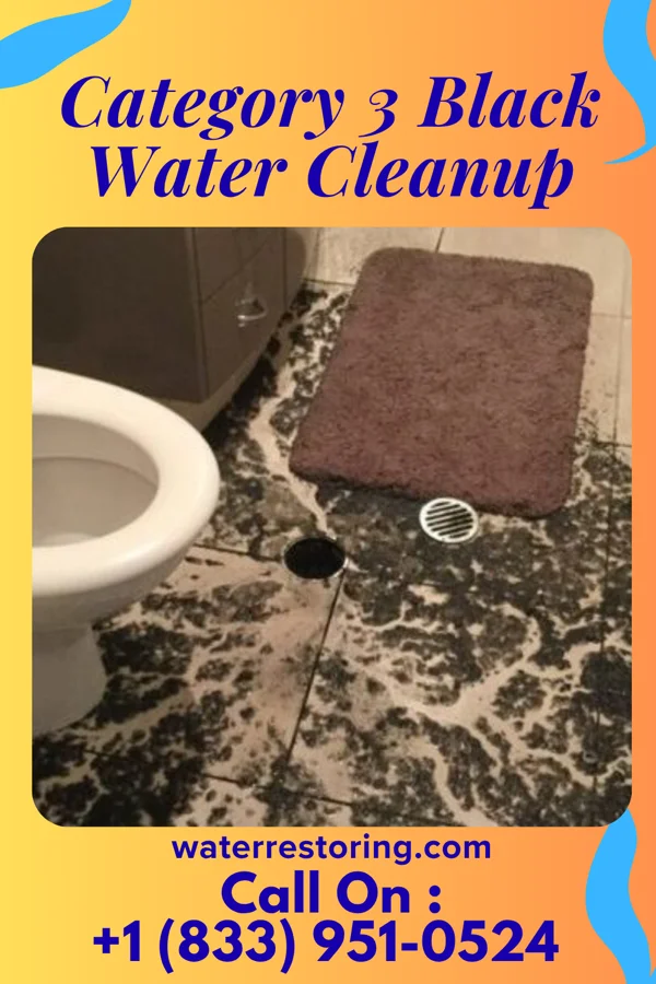 Category 3 Black Water Cleanup in Ontario, CA